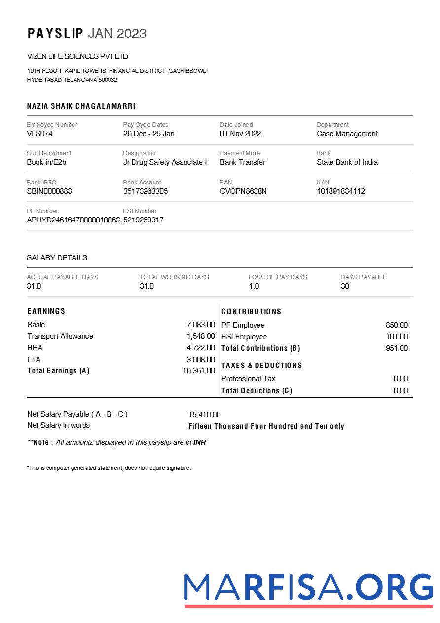 Printable Vizen Life Sciences pharmaceutical company payslip template